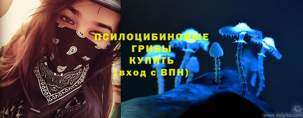 apvp Аркадак