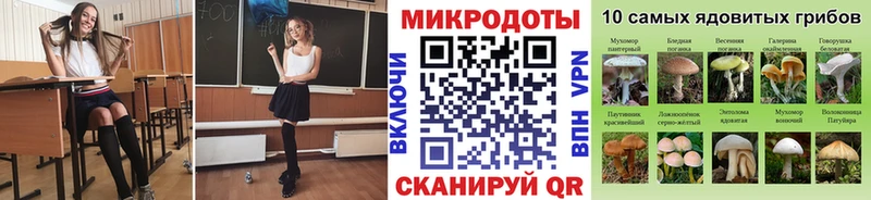продажа наркотиков Кремёнки Галлюциногенные грибы Psilocybine cubensis